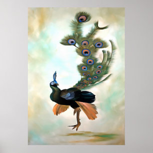 Proud As A Peacock Colourful Courtship Display Poster