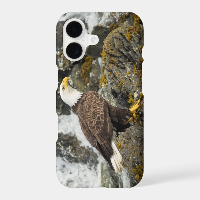 Proud Bald Eagle (Back)