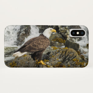Proud Bald Eagle iPhone X Case