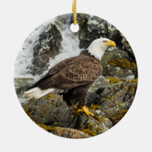 Proud Bald Eagle Ceramic Tree Decoration