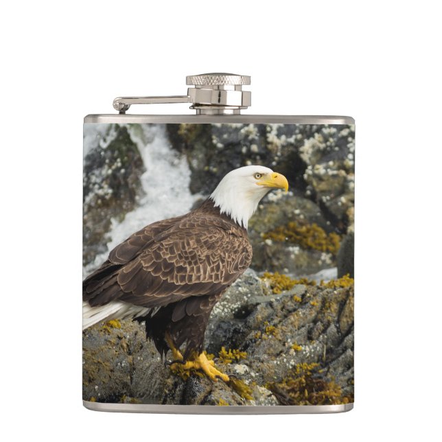 Proud Bald Eagle Hip Flask (Front)