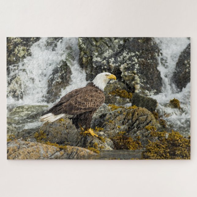 Proud Bald Eagle Jigsaw Puzzle (Horizontal)