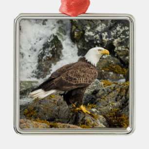 Proud Bald Eagle Metal Tree Decoration