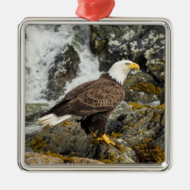 Proud Bald Eagle Metal Tree Decoration (Front)