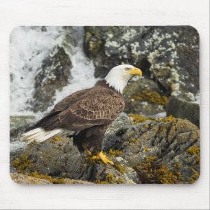 Proud Bald Eagle Mouse Mat