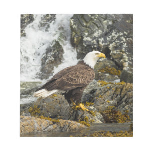 Proud Bald Eagle Notepad