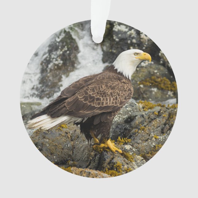 Proud Bald Eagle Ornament (Front)