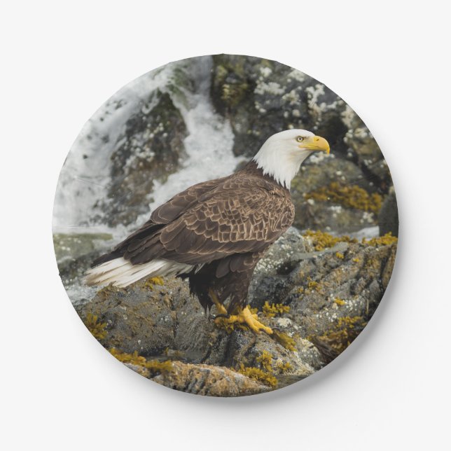 Proud Bald Eagle Paper Plate (Front)