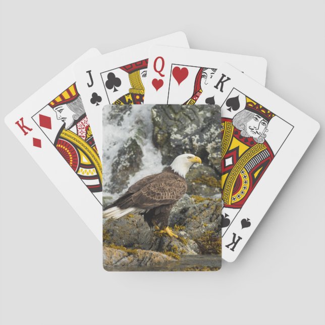 Proud Bald Eagle Playing Cards (Back)