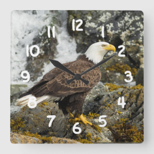 Proud Bald Eagle Square Wall Clock