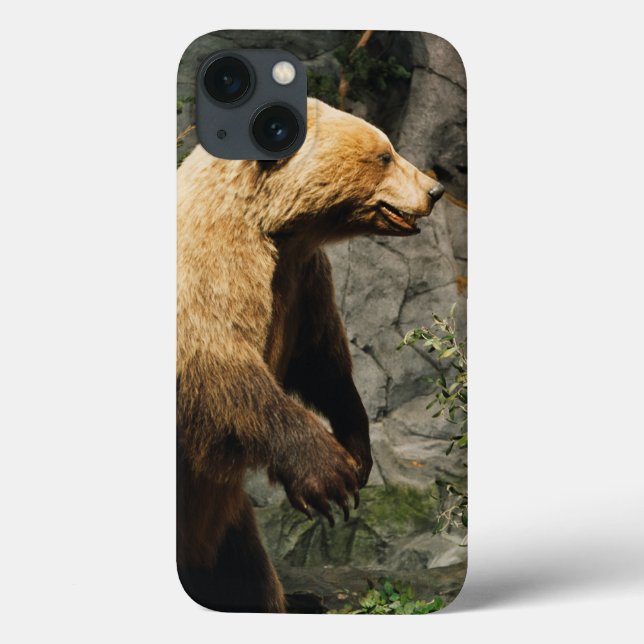 Proud Bear Case-Mate iPhone Case (Back)