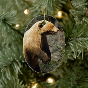 Proud Bear Ceramic Tree Decoration