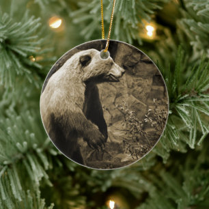 Proud Bear Ceramic Tree Decoration