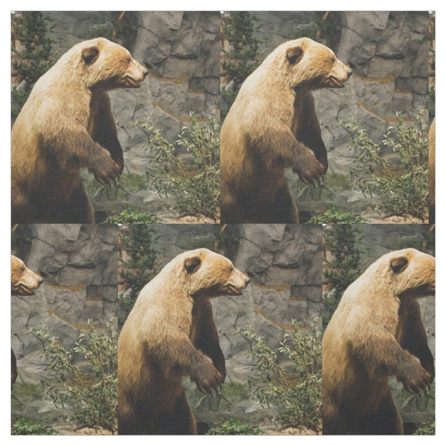 Proud Bear Fabric (Swatch)