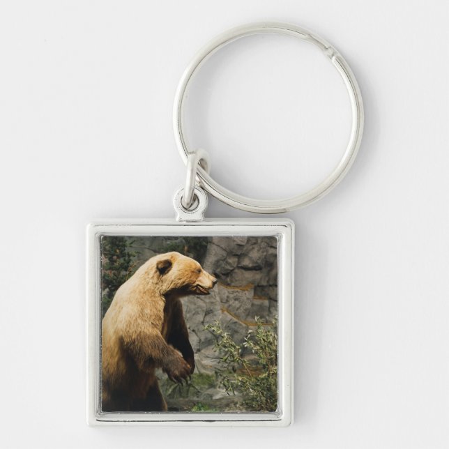 Proud Bear Key Ring (Front)