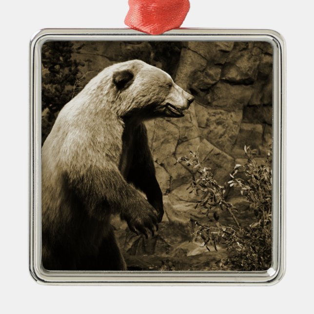 Proud Bear Metal Tree Decoration (Front)