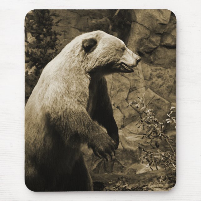 Proud Bear Mouse Mat (Front)