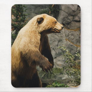 Proud Bear Mouse Mat