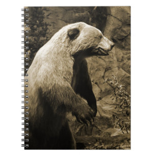 Proud Bear Notebook