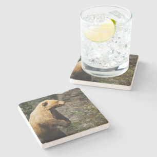 Proud Bear Stone Coaster