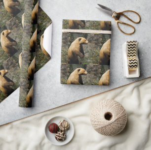 Proud Bear Wrapping Paper