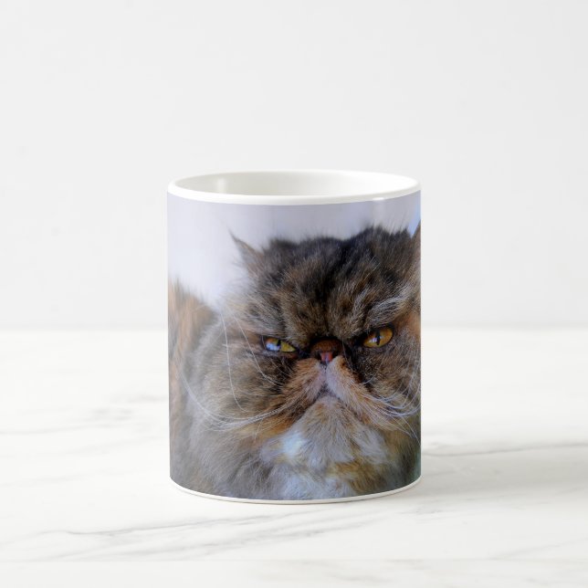 Proud Calico Persian Cat Coffee Mug (Center)