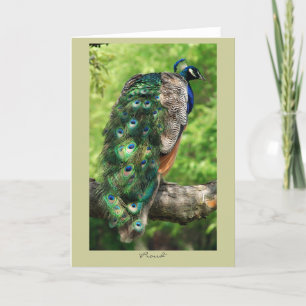 Proud Card