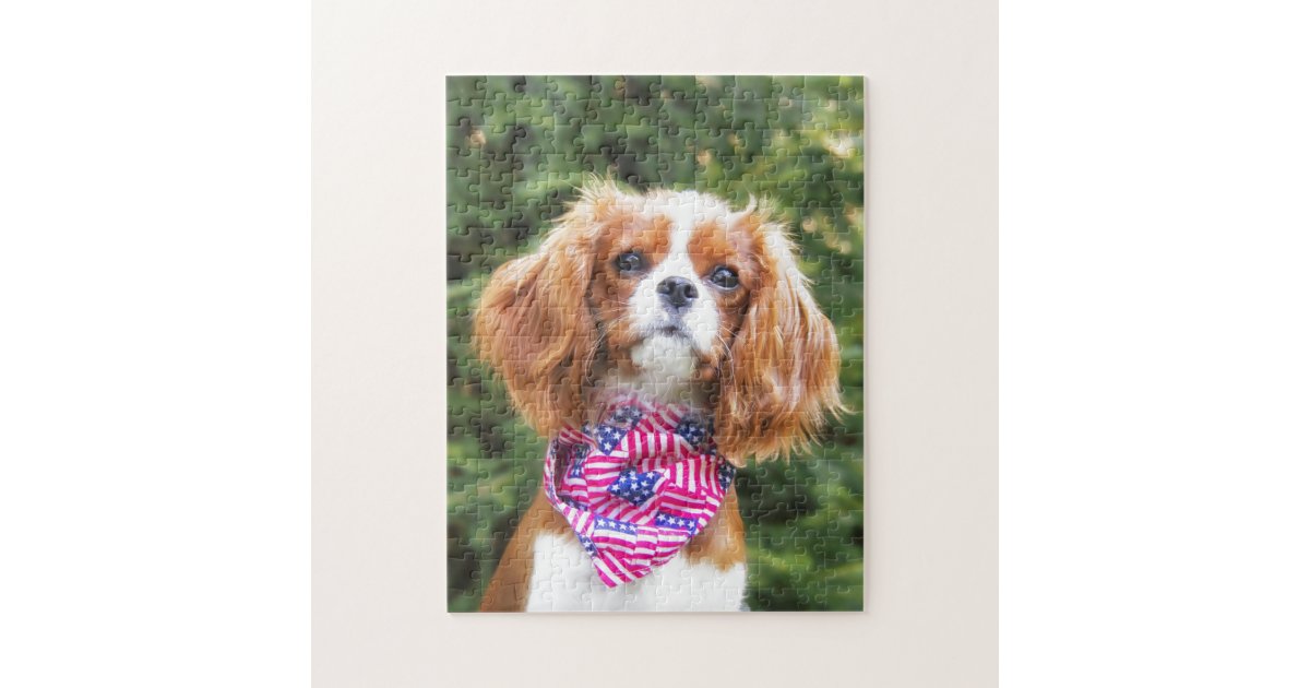 Proud Cavalier King Charles Spaniel Puppy Jigsaw Puzzle | Zazzle.co.uk