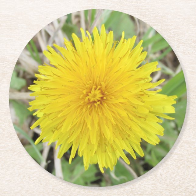 Proud Dandelion Flower. Round Paper Coaster (Front)