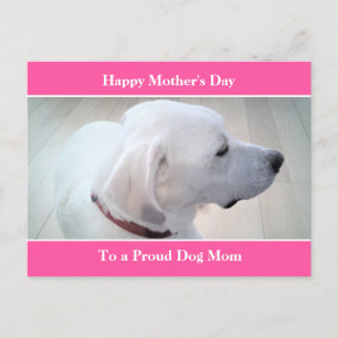 Proud Dog Mum Cute White Labrador Mix Dog Profile Holiday Postcard