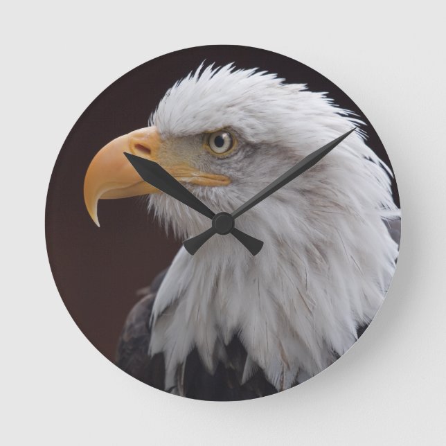 Proud Eagle Clock (Front)
