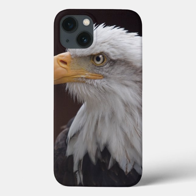 Proud Eagle iPad Case (Back)