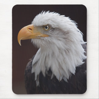 Proud Eagle Mousemat