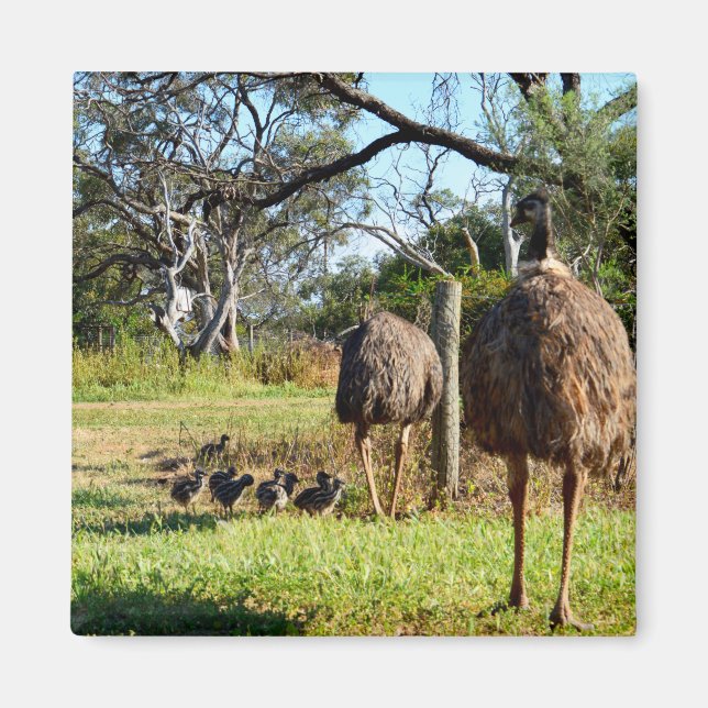 Proud Emu Parents, Fridge Magnet (Front)