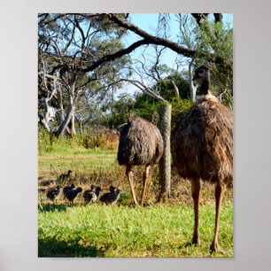 Proud Emu Parents, Poster