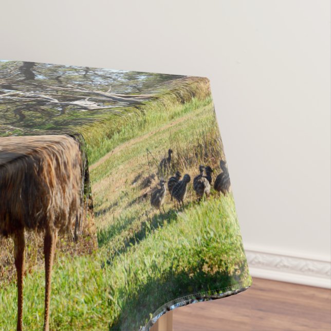 Proud Emu Parents, Tablecloth (In Situ)