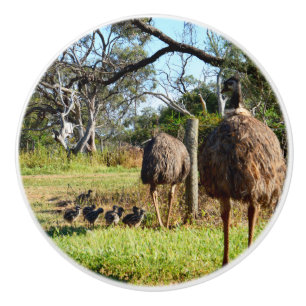 Proud Emu Parents With Chicks, Ceramic Knob