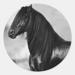Proud Friesian black stallion horse Classic Round Sticker