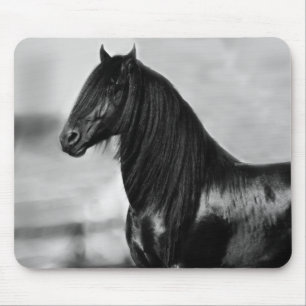 Proud Friesian black stallion horse Mouse Mat