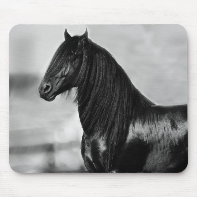 Proud Friesian black stallion horse Mouse Mat (Front)