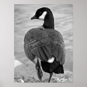 Proud Goose Poster