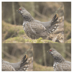 Proud Grouse Fabric