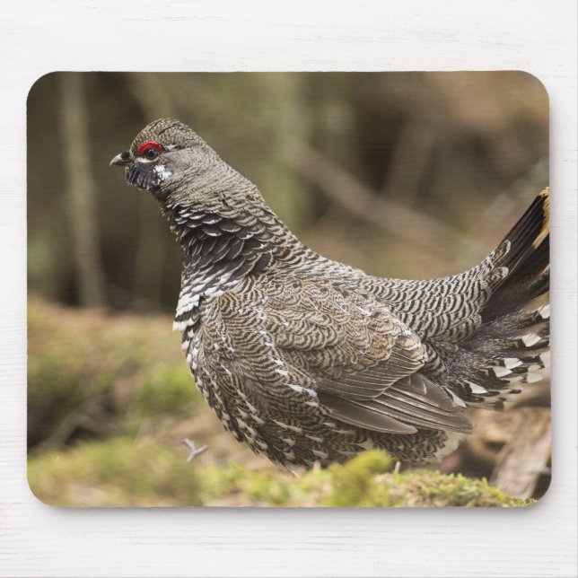 Proud Grouse Mouse Mat (Front)