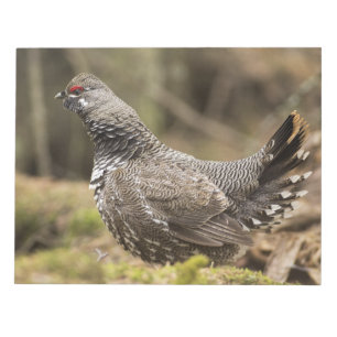 Proud Grouse Notepad