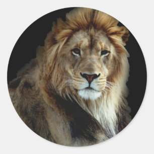 Proud King of the Animal Kingdom Classic Round Sticker