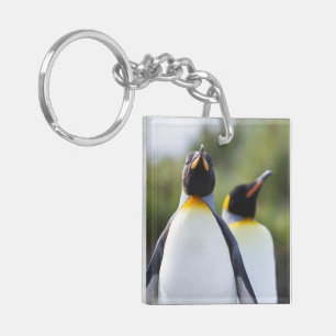 Proud King penguins photo Key Ring