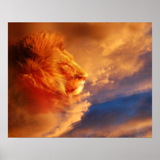 Proud lion face in sunset clouds poster (Front)