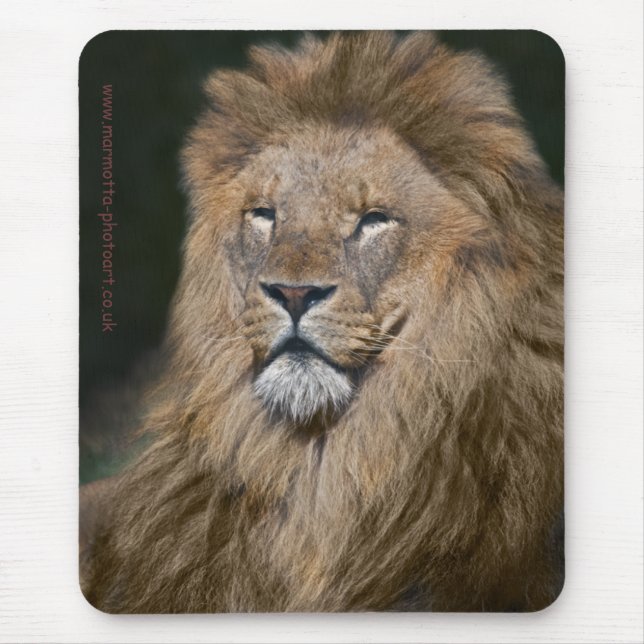 Proud Lion Mousemat (Front)