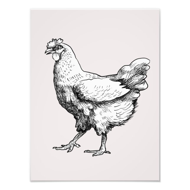 Proud little hen! photo print (Front)