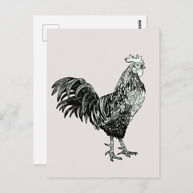Proud little rooster! postcard (Front/Back)